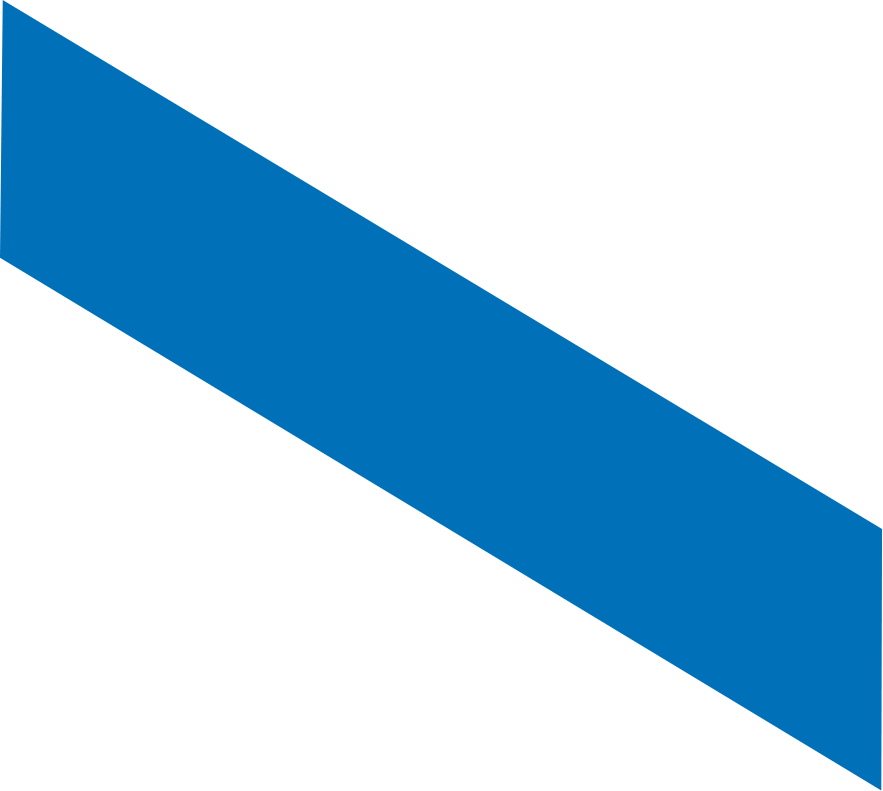 shape 1